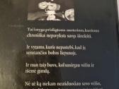 Posūkyje neišlėk - nuotraukos Nr. 5
