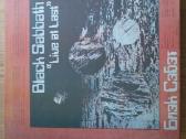 Daug vinilo plokšteliu - nuotraukos Nr. 26