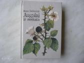Tema sveikata - nuotraukos Nr. 12