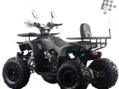 Benzininis keturratis XTR 125cc 002/08 - nuotraukos Nr. 7