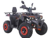 Benzininis keturratis Asix Ranger 250cc 10" 1+1 - nuotraukos Nr. 2