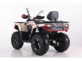 Registruojamas pigiausia T3b Asix Challenger 300cc - nuotraukos Nr. 3