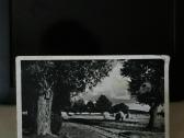 Galulaukė foto-nuotrauka