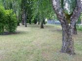 Žoles pjovimas.medžių ir krūmų pjovimas ir išvež. - nuotraukos Nr. 5
