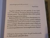 Meditacijos - nuotraukos Nr. 5