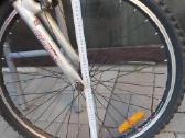 Condor bycicle dviratis - nuotraukos Nr. 15