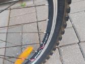 Condor bycicle dviratis - nuotraukos Nr. 17