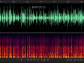 Garso balso įrašų valymas. Audio įrašų redagavimas
