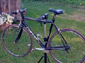 Carver Evolution Three RC Series 58