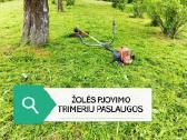Žolės pjovimas, aukštos žolės pjovimas - nuotraukos Nr. 4
