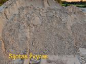 Zvyras, juodzemis, atsijos, betonas - nuotraukos Nr. 5
