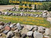 Zvyras, juodzemis, atsijos, betonas - nuotraukos Nr. 14