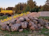 Zvyras, juodzemis, atsijos, betonas - nuotraukos Nr. 15