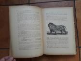 Jules Gerard "Le tuerur de lions" Paris 1912 metai - nuotraukos Nr. 9