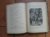 Jules Gerard "Le tuerur de lions" Paris 1912 metai - nuotraukos Nr. 13
