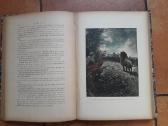 Jules Gerard "Le tuerur de lions" Paris 1912 metai - nuotraukos Nr. 16