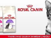 Royal canin sterilised 10kg