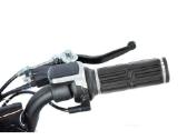 Elektrinis keturratis XTR E-m8/6 1000w - nuotraukos Nr. 12