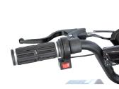 Elektrinis keturratis XTR E-m8/6 1000w - nuotraukos Nr. 13