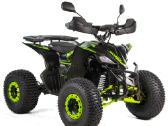 Elektrinis keturratis XTR Revolt 1200w - nuotraukos Nr. 2