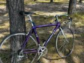 Anglies pluosto carbon Peugeot plentinukas 51cm