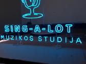 LED neon užrašai ir logotipai - nuotraukos Nr. 6