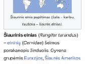 Šiaurės elnio ragai - nuotraukos Nr. 2