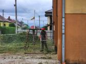 Sklypu Tvarkymas, šakų Išvežimas,krūmų pjvm.24/7 - nuotraukos Nr. 2