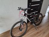 Focus Raven Rookie M - nuotraukos Nr. 3