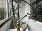 Kaljanas