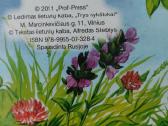 Knygelė vaikams "Rudžio linksmadienis" - nuotraukos Nr. 6