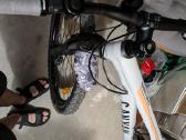 Riesel design purvasargis (mudguard) - nuotraukos Nr. 3