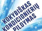 Kondicionierių Pildymas Klaip., Dituva,palanga,