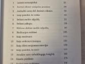 Kaip pasiekti ko nori ir džiaugtis tuo ką turi - nuotraukos Nr. 3
