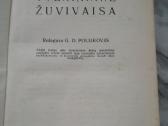 S.dorochovas Tvenkinine zuvivaisa 1961m. - nuotraukos Nr. 2