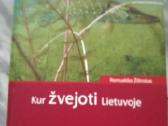 S.dorochovas Tvenkinine zuvivaisa 1961m. - nuotraukos Nr. 8