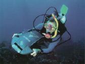 Nardymo skuteris