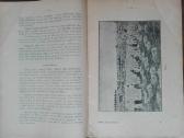 1591. Ūkiškas Linų Apdirbimas reta antikvarinė-kol - nuotraukos Nr. 2