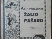 1592. Kaip Pagaminti Žalio Pašaro reta antikvarinė