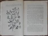 1592. Kaip Pagaminti Žalio Pašaro reta antikvarinė - nuotraukos Nr. 3