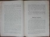 1593. Pašarinių Morkvų Sėtinių Ir Ropių Auginimas - nuotraukos Nr. 3