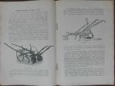 1593. Pašarinių Morkvų Sėtinių Ir Ropių Auginimas - nuotraukos Nr. 4