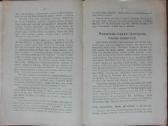 1593. Pašarinių Morkvų Sėtinių Ir Ropių Auginimas - nuotraukos Nr. 5