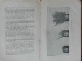 1594. Žalia Trąša reta antikvarinė-kolekcinė - nuotraukos Nr. 4