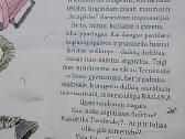Trenktukė, liūno vaikas - nuotraukos Nr. 2