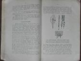 1595. Varpinių Javų Ligos Ir Gadintojai reta antik - nuotraukos Nr. 6