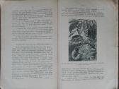 1595. Varpinių Javų Ligos Ir Gadintojai reta antik - nuotraukos Nr. 9