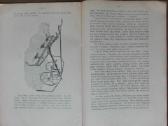 1597. Bulvės reta antikvarinė-kolekcinė - nuotraukos Nr. 5