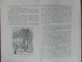 1600. Bekoniniėms Kiaulėms Gerinti Priemonės - nuotraukos Nr. 6