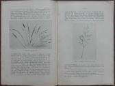 1601. Pievų Pagerinimas reta antikvarinė-kolekcinė - nuotraukos Nr. 3
